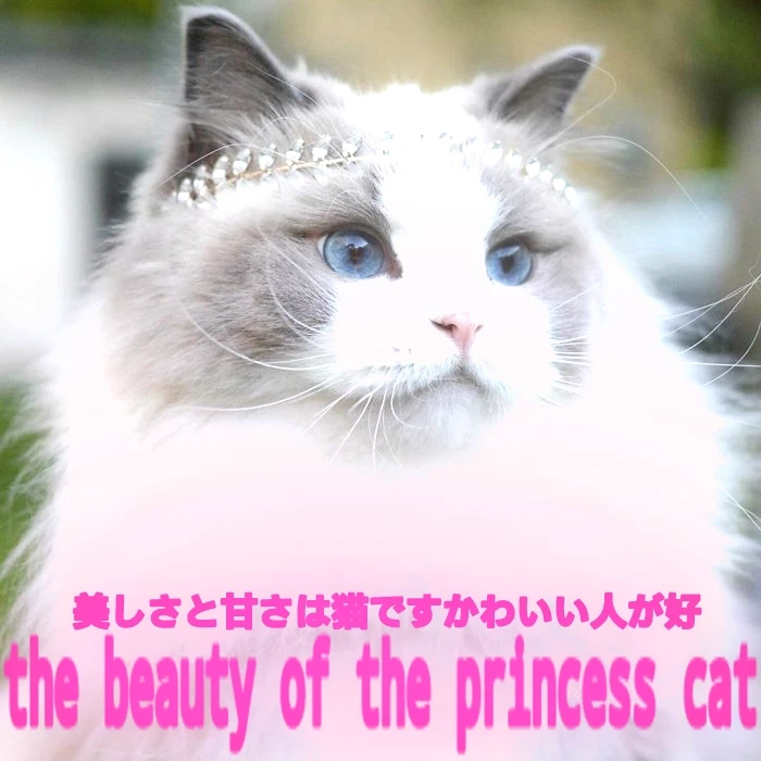 ready princess thumbnail