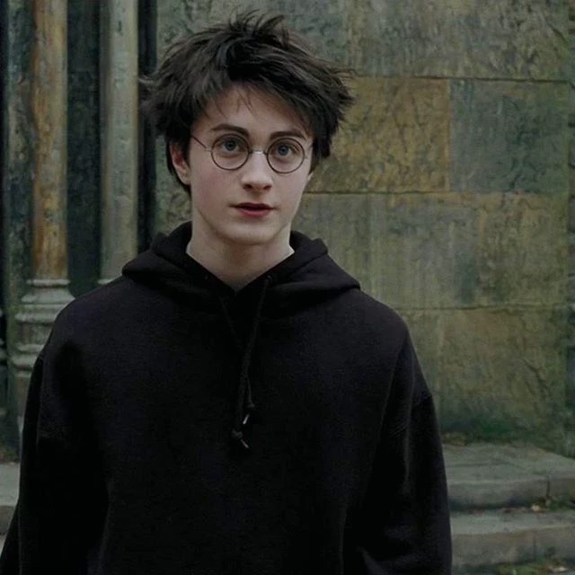 harry and his love of hogwarts thumbnail
