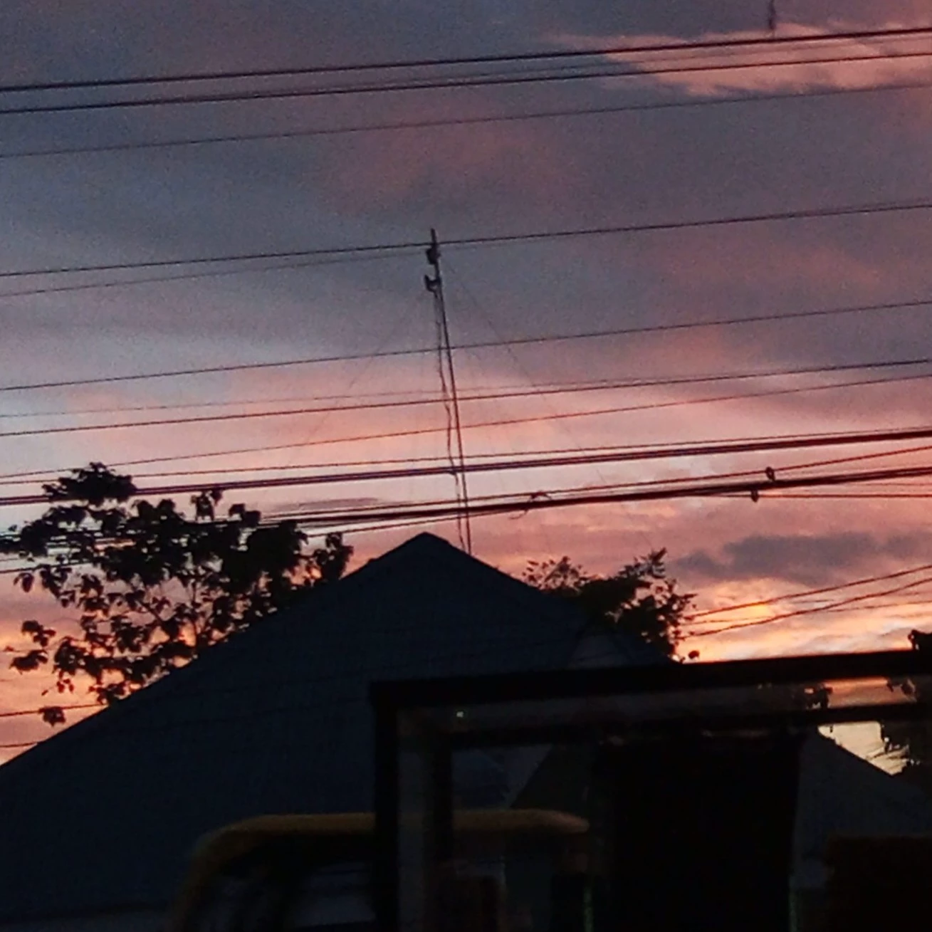 Fiel
