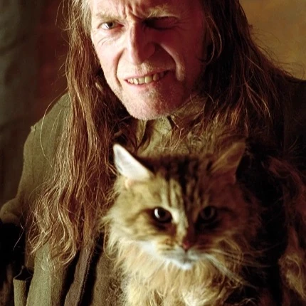 Argus Filch thumbnail