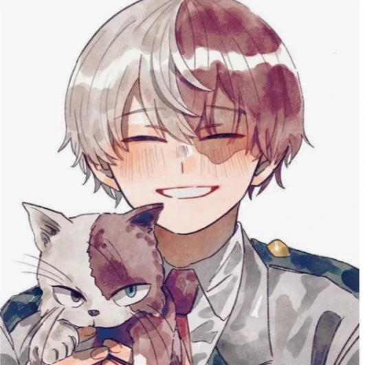 Shoto Todoroki thumbnail