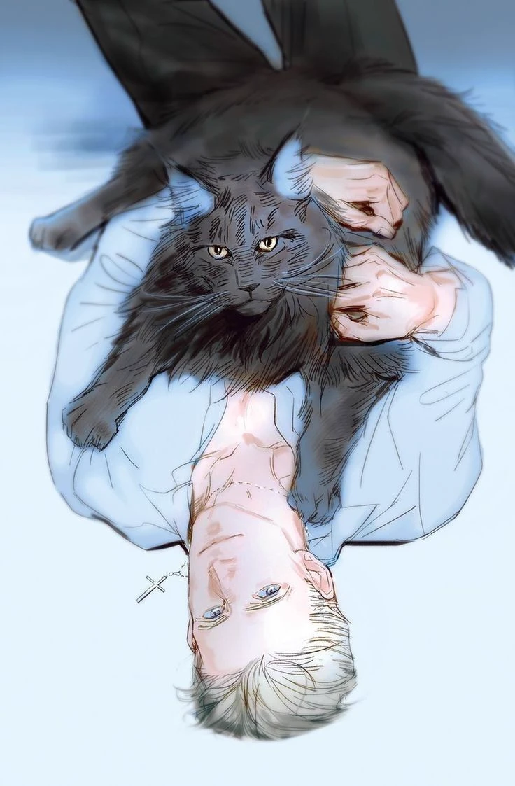 René Carls  thumbnail