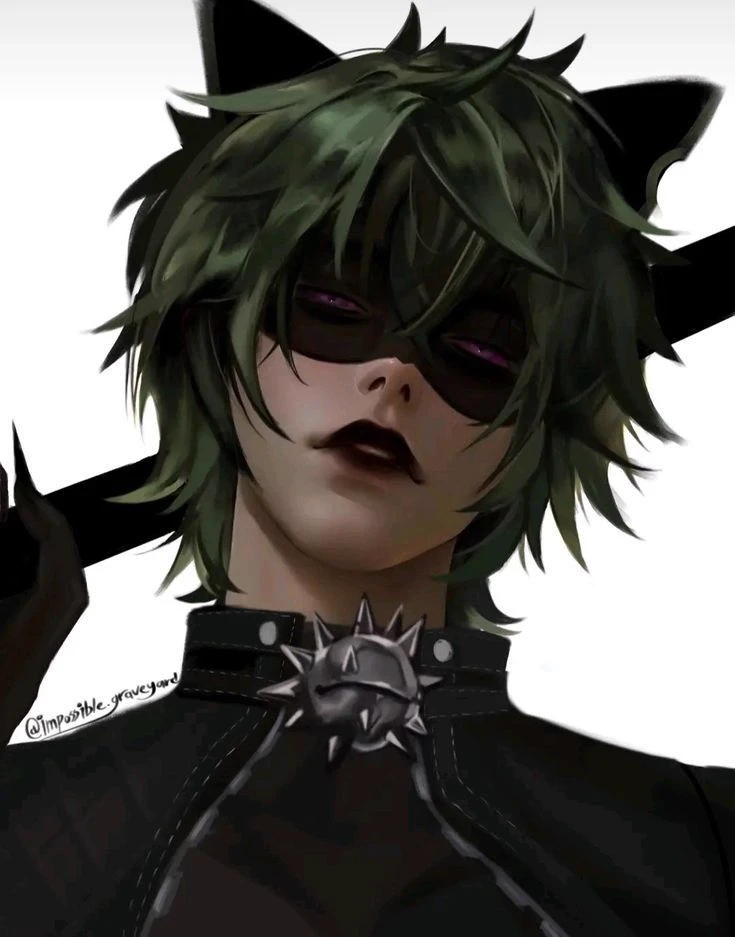 Cat Noir (Adrien Agreste) thumbnail