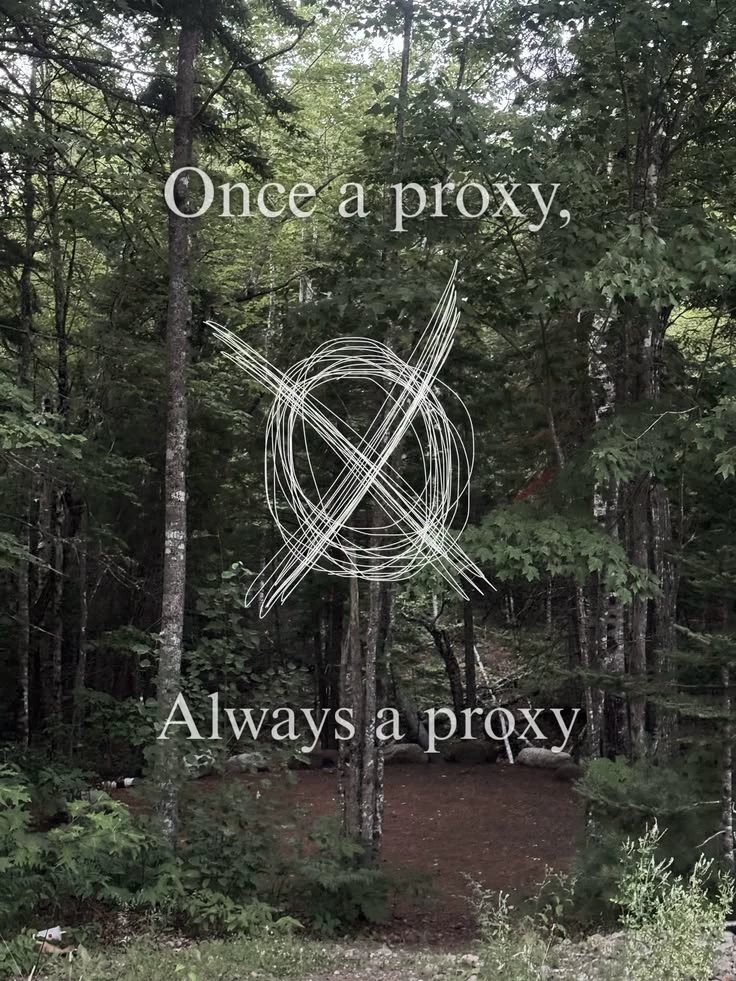⁠✧⁠*⁠ 。Proxies 。*⁠✧ thumbnail