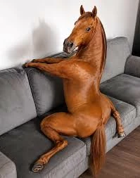 Humanoid Horse (Irl) thumbnail
