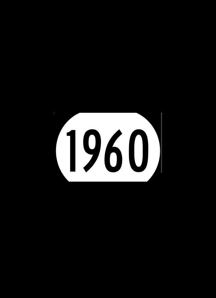 The 1960's thumbnail