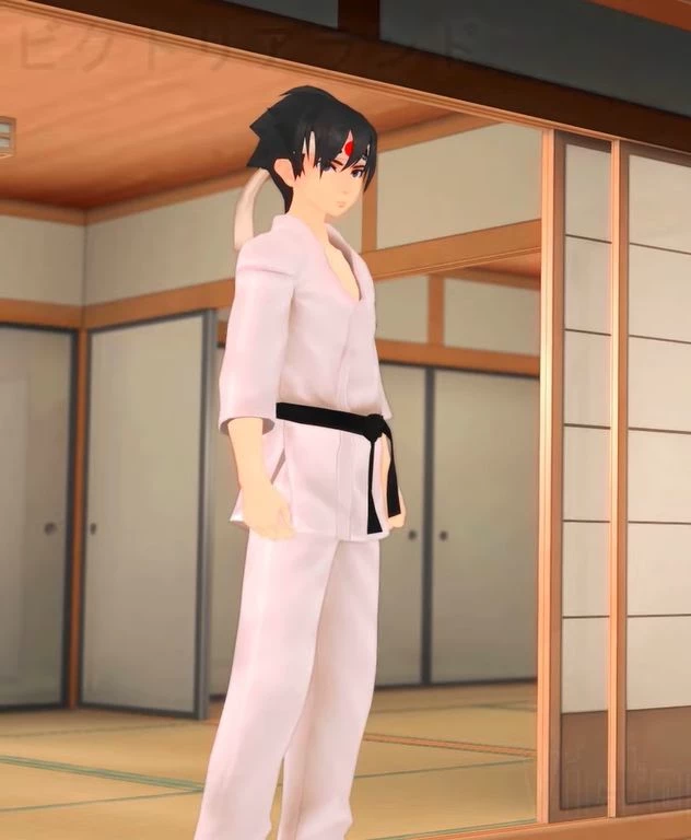 🥋⛩️Budo Maceta⛩️🥋 thumbnail