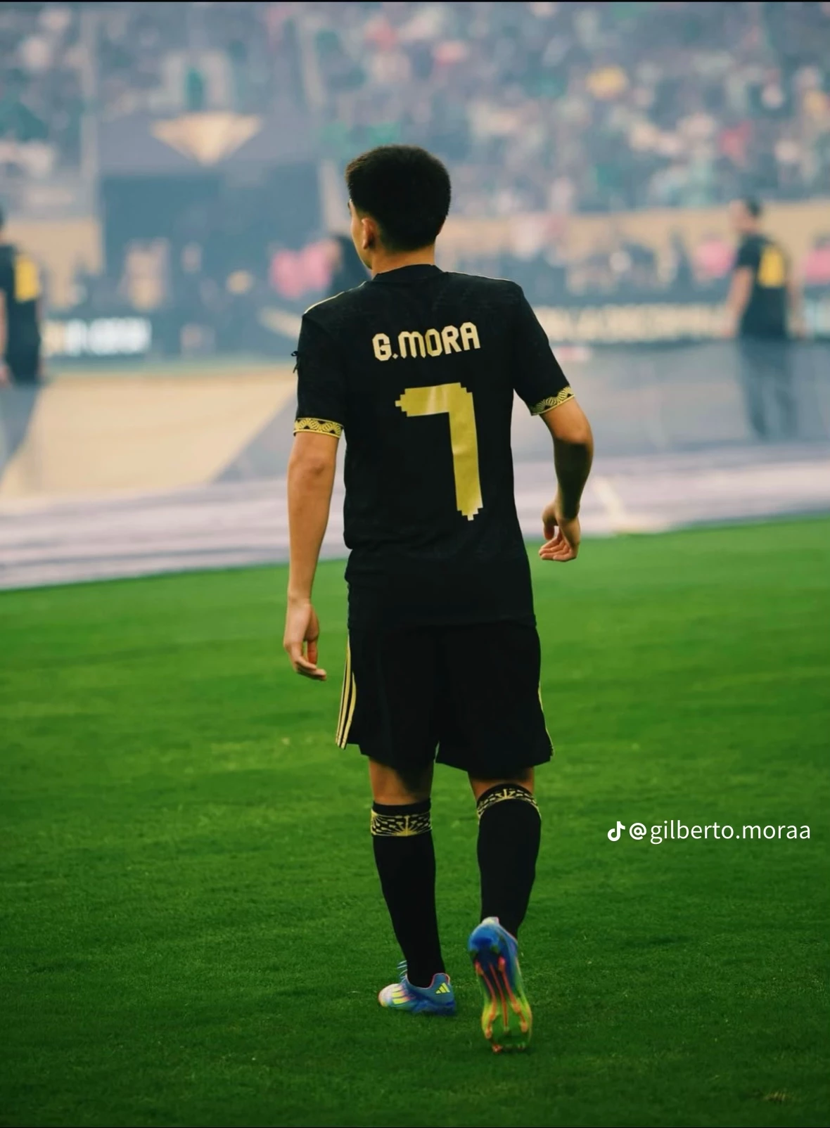 Gilberto Moraᜊ thumbnail