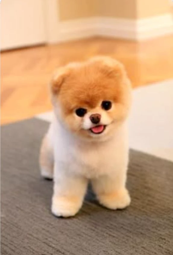 enter my profile thumbnail
