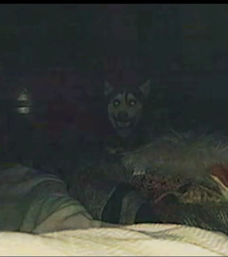 Skinwalker Dog thumbnail