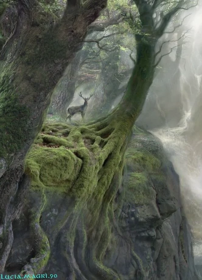 Fold V2 thumbnail