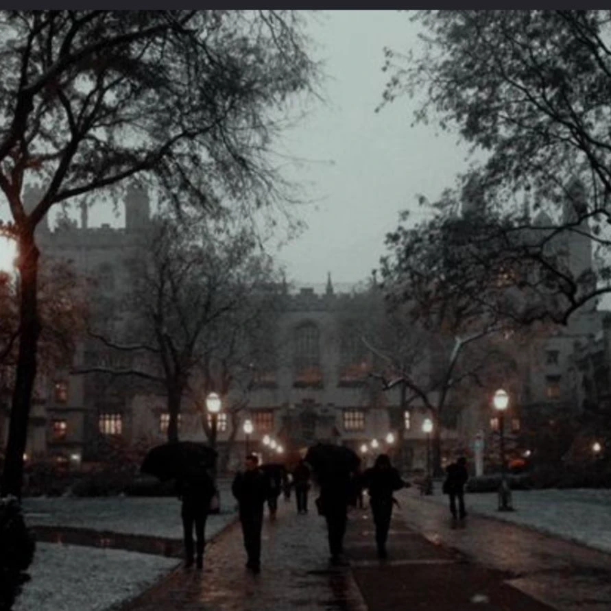 blackwood academy  thumbnail