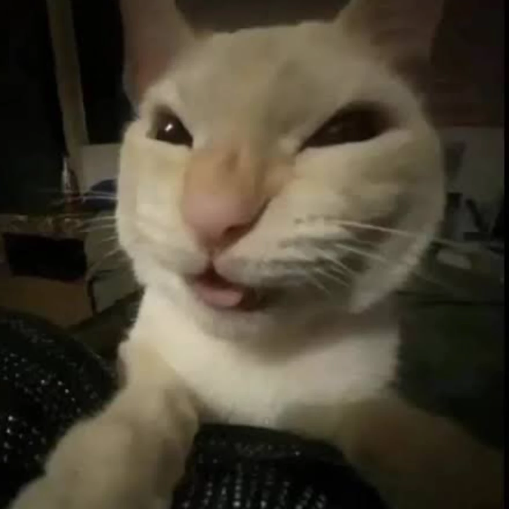 el gatito malo 😾♡(*´ω｀*)/♡