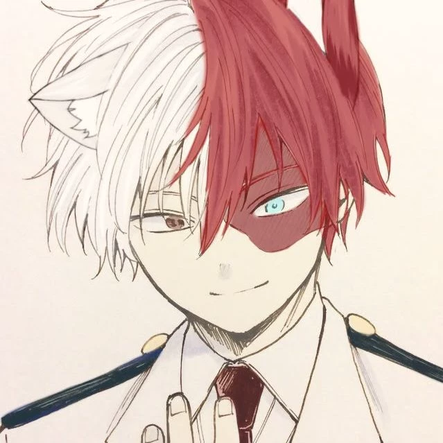 Shoto Todoroki thumbnail