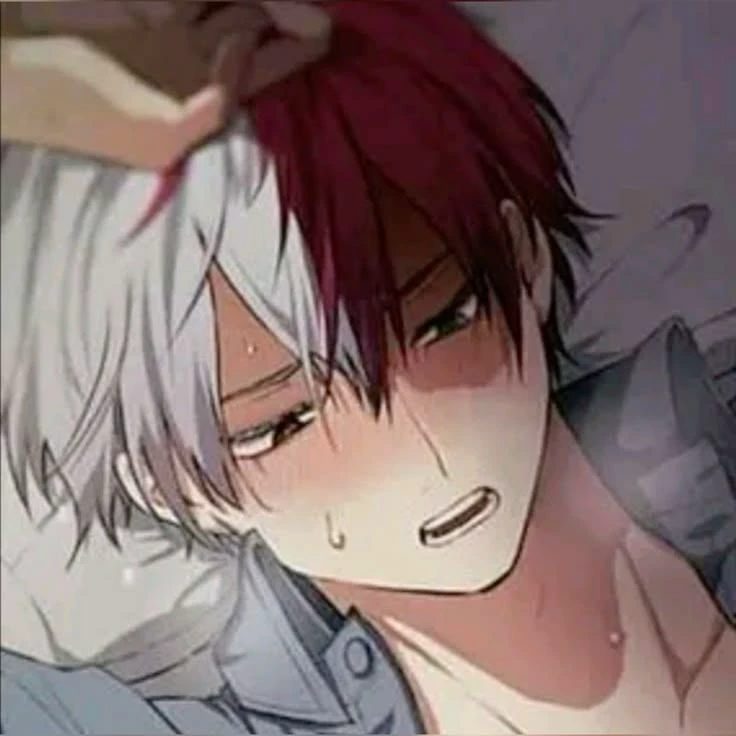 ❄️Shot Todoroki🔥 thumbnail