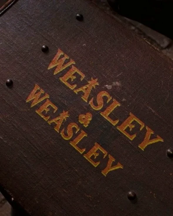 The Weasleys thumbnail