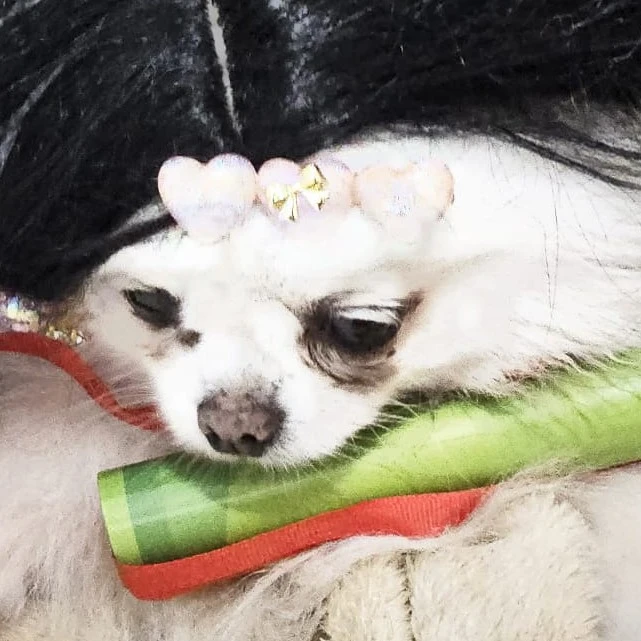 Okany Kai