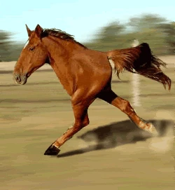 bipedal horse thumbnail