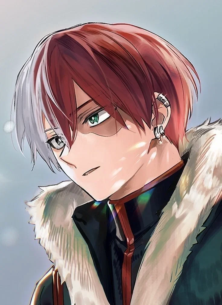 Shoto Todoroki  thumbnail