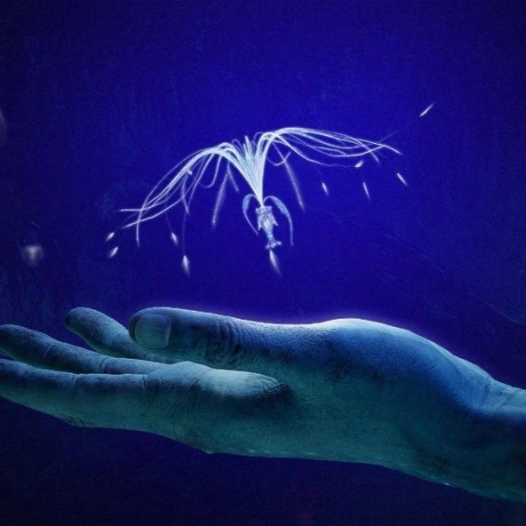 Avatar thumbnail