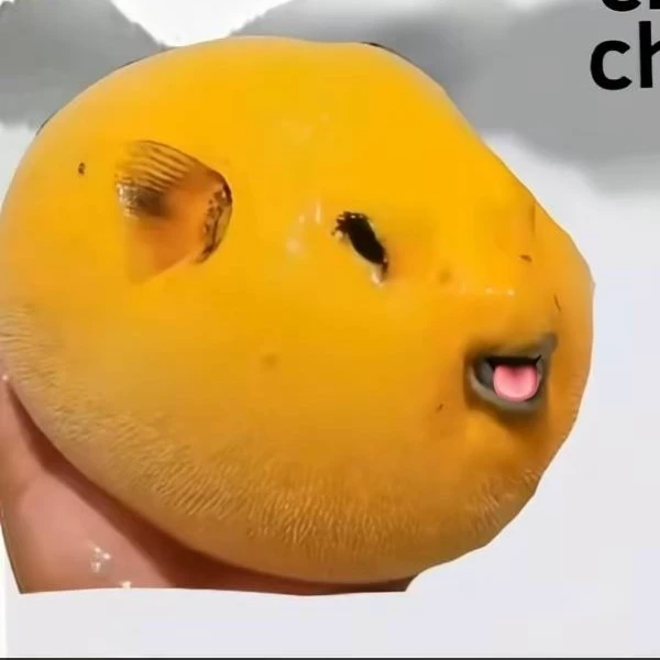 Puffing fish