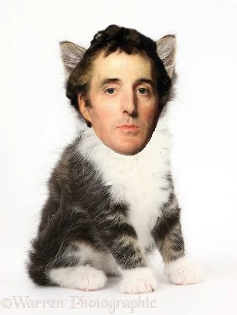 Duke of meowingtin thumbnail