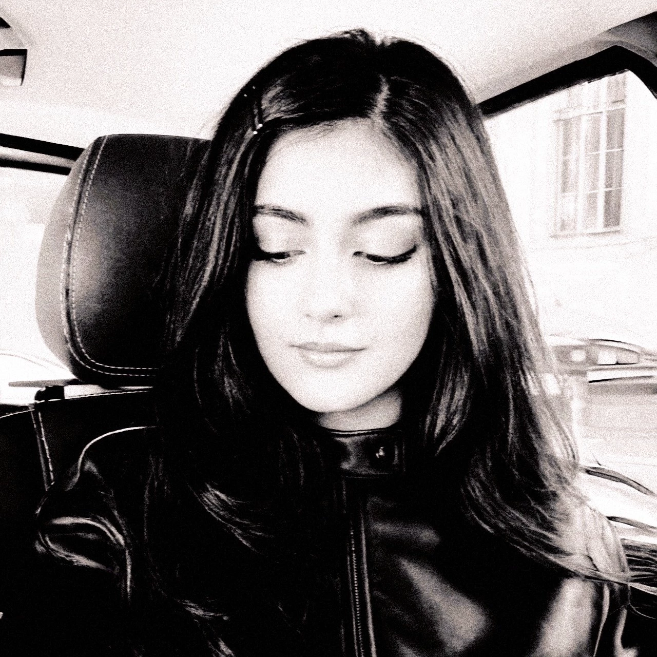 Rara Avis 