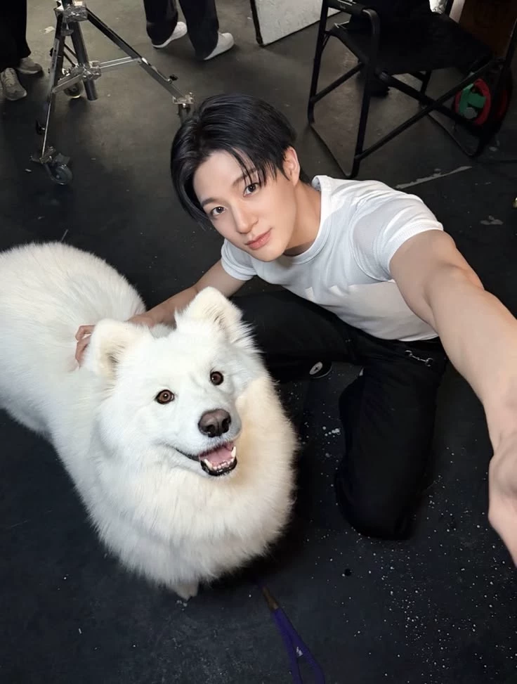 Lee Jeno (Dog hybrid) thumbnail