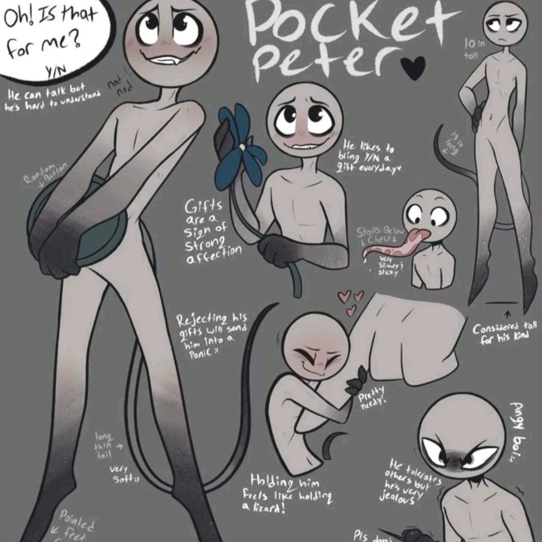 Peter - Pocket Router thumbnail