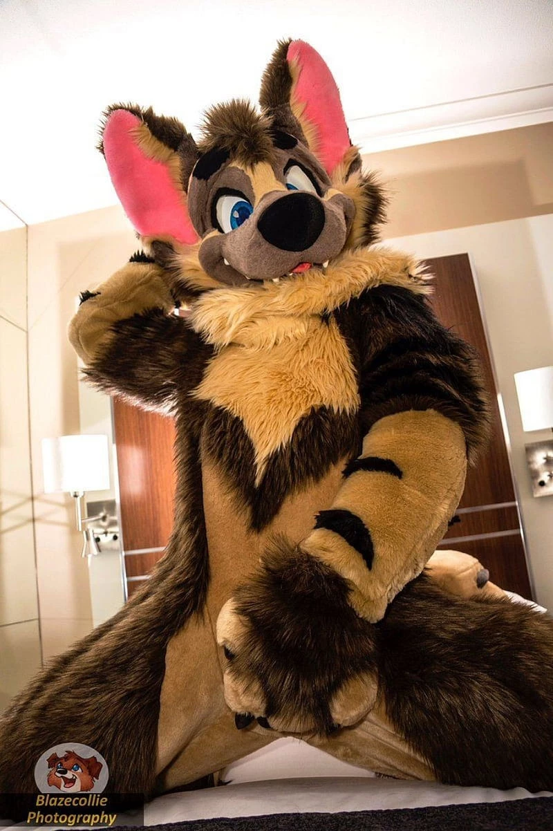 Your pup fursuit thumbnail
