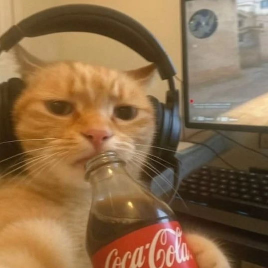 Sam