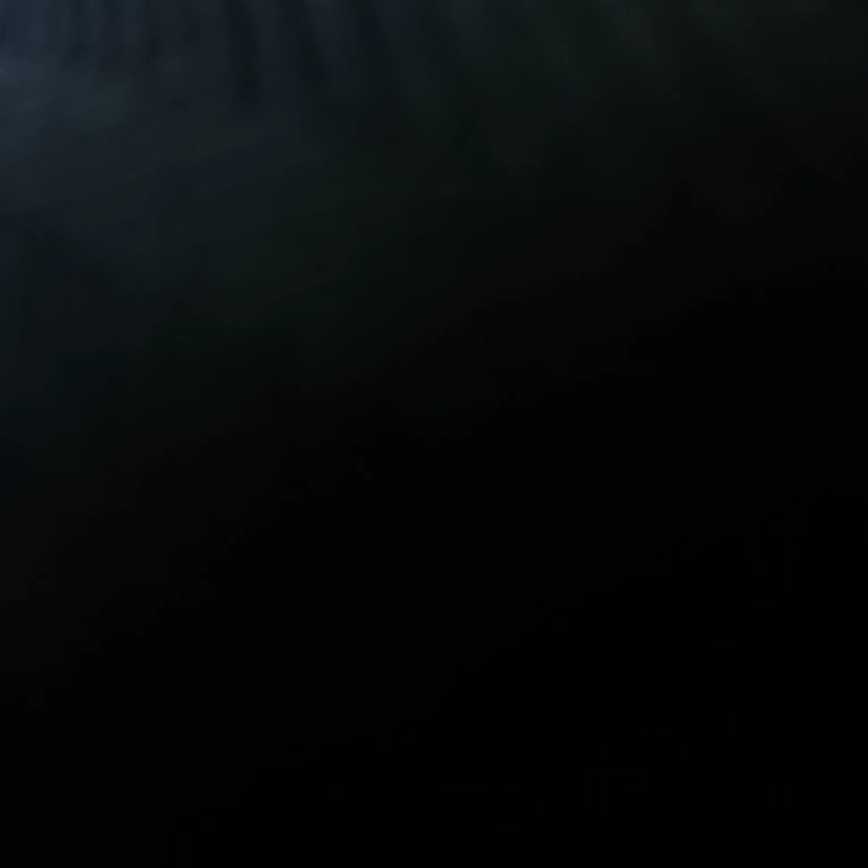 Damon thumbnail