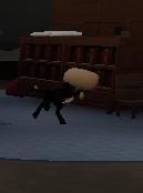 DW PICK ME BOY thumbnail