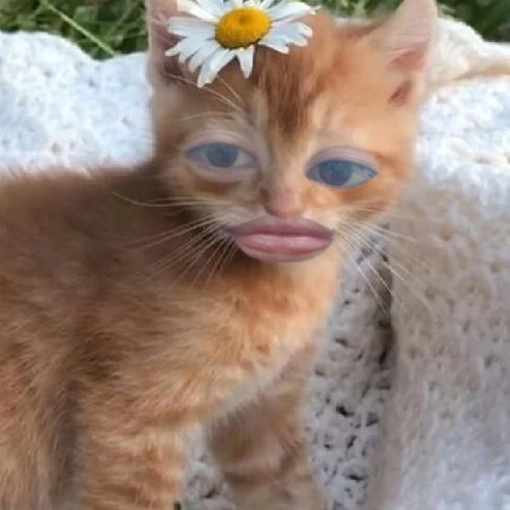 Kiarra