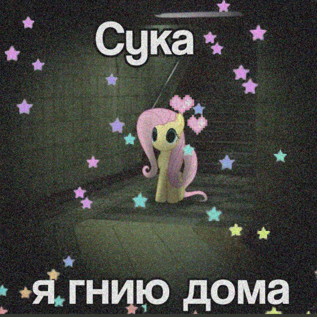 Эстро