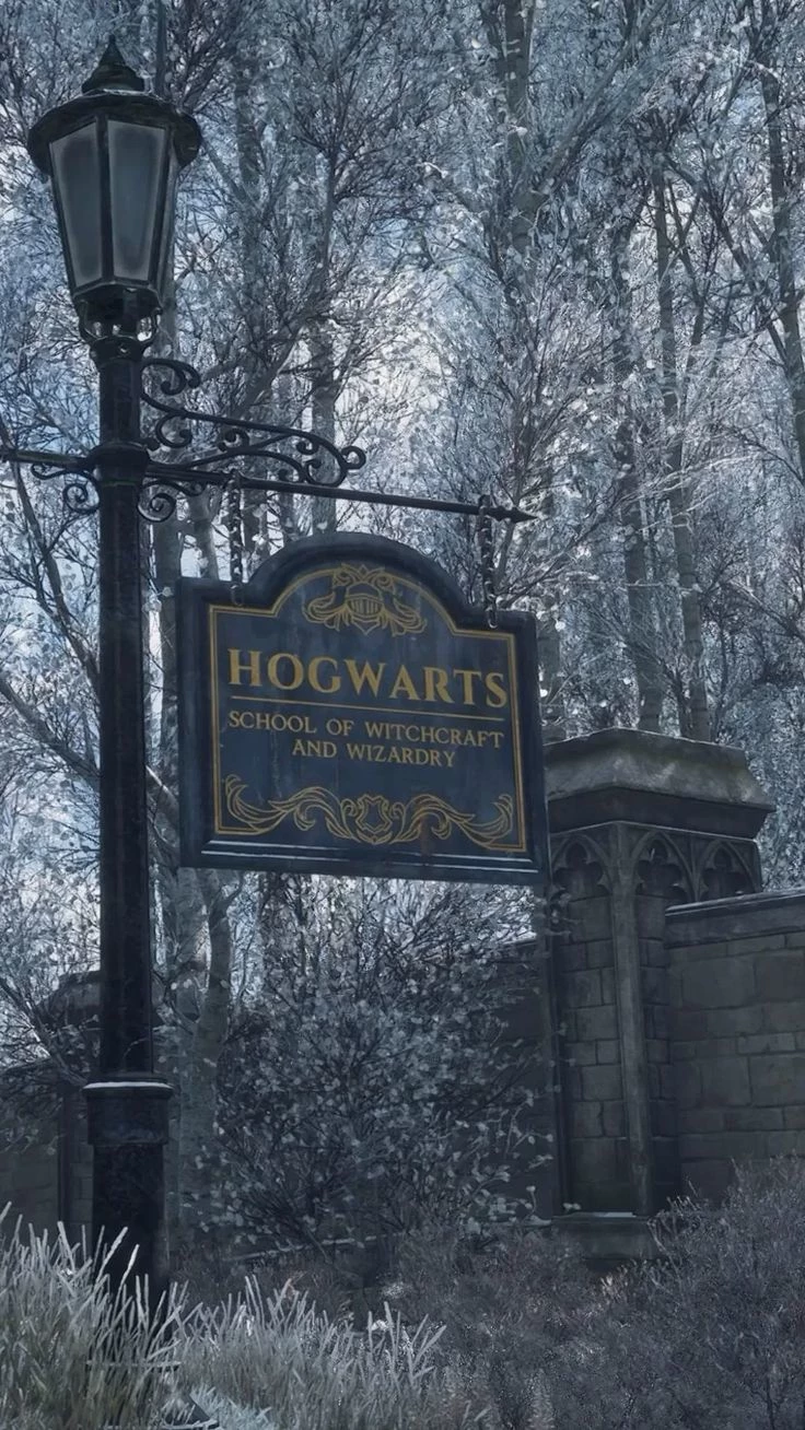 ℋogwarts ⁰⁰⁴ thumbnail