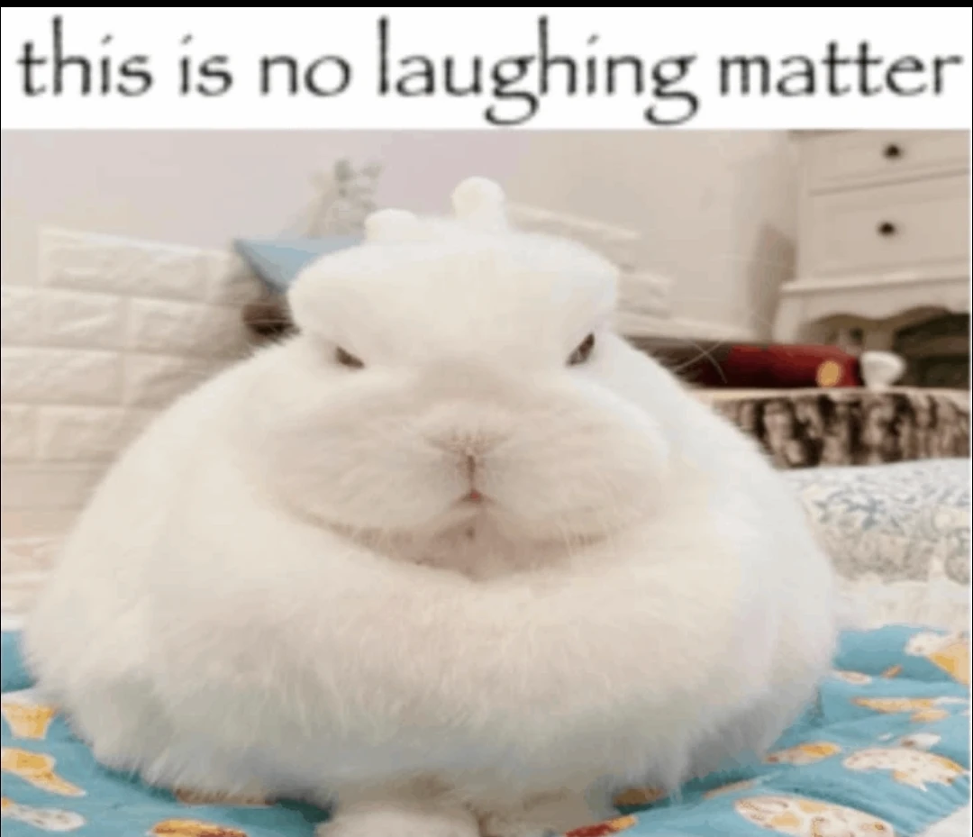 This is no laughing matter thumbnail