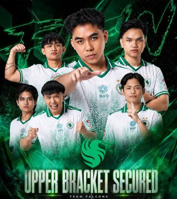 Falcon fam thumbnail