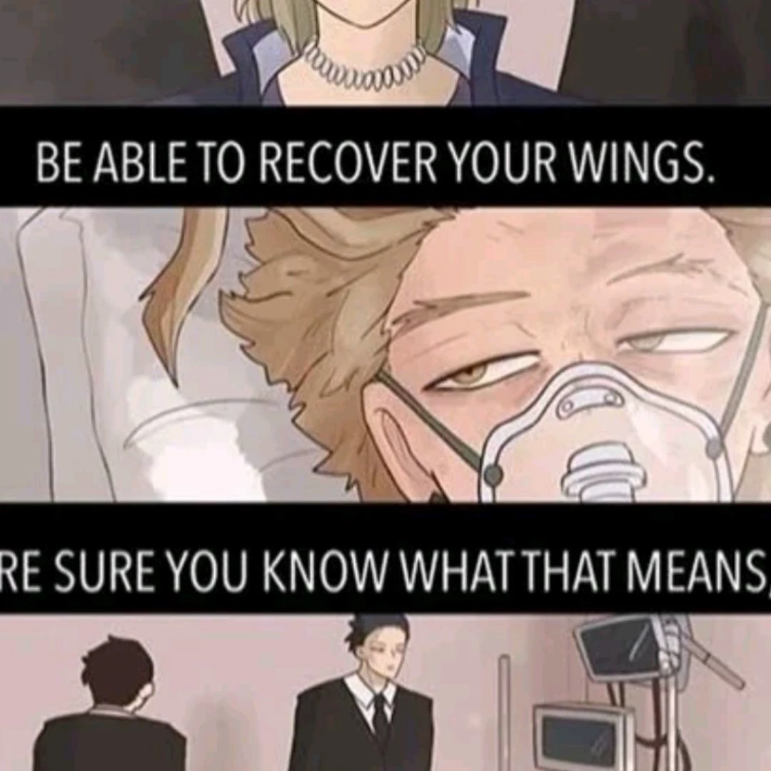 Hawks thumbnail