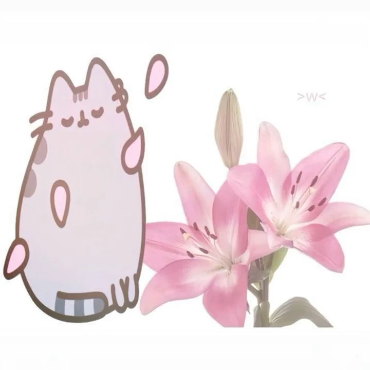 Fuyu