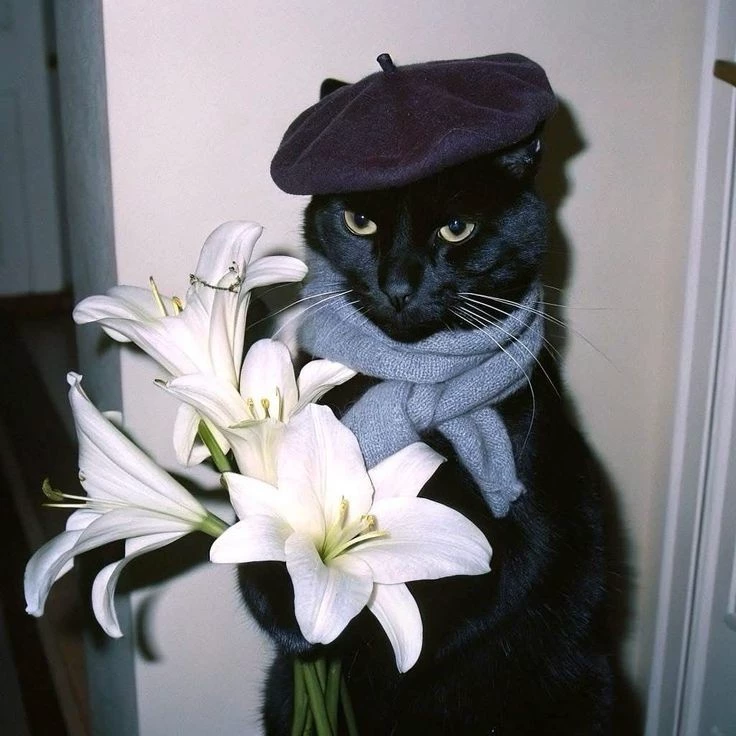 Mikhail