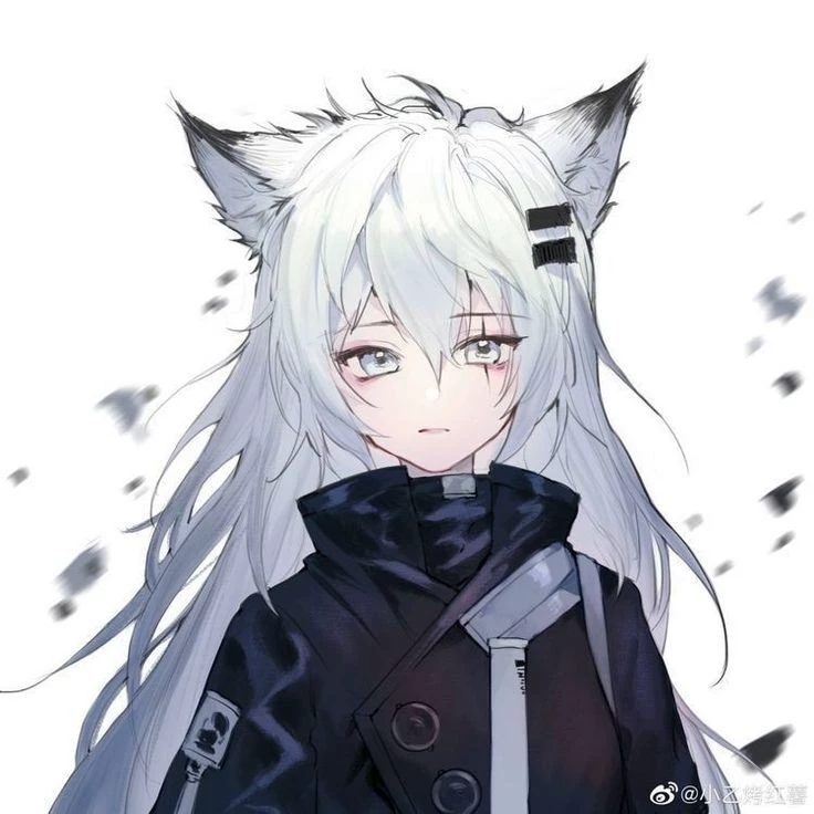 Wolfy