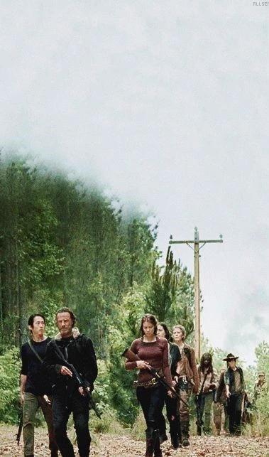 The Walking Dead  thumbnail