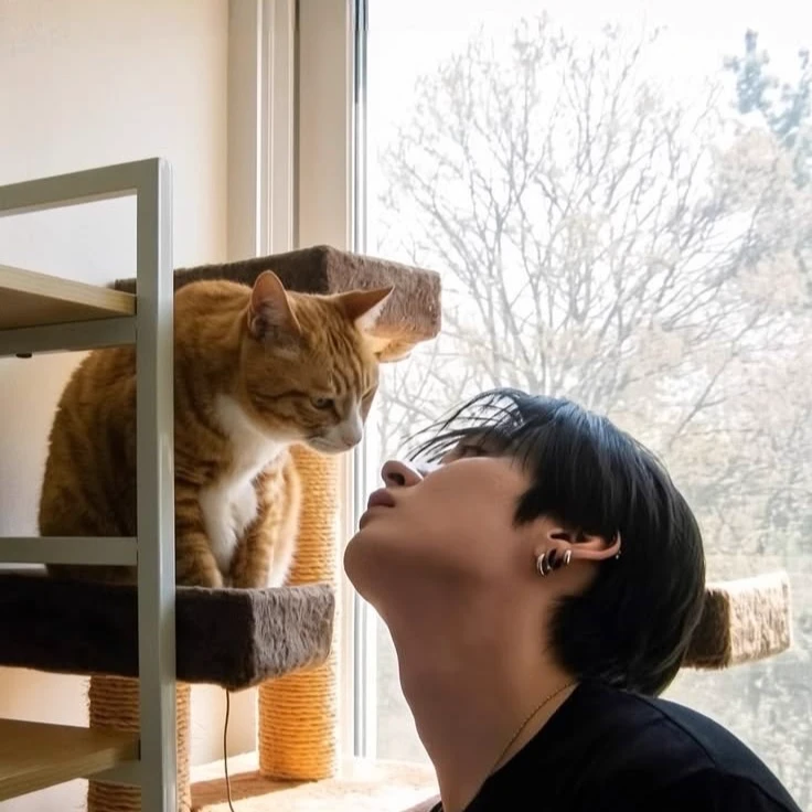 Lee Minho thumbnail