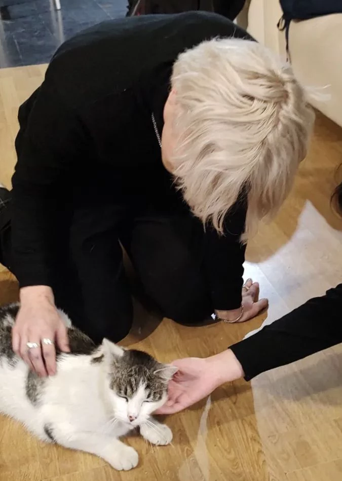 Draco Malfoy  thumbnail