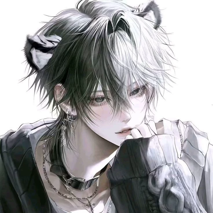 Yori