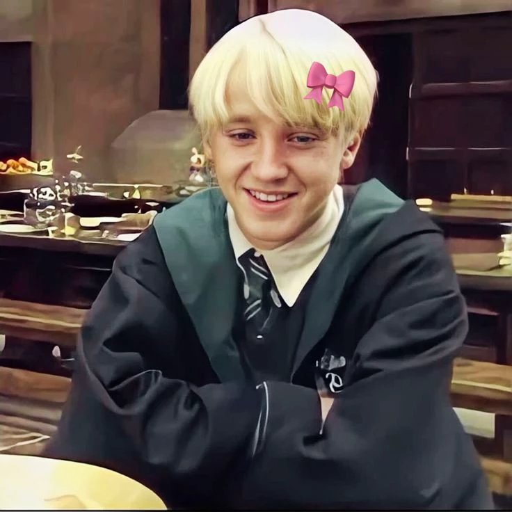 Draco Malfoy~ 🫶 (Drarry!) thumbnail