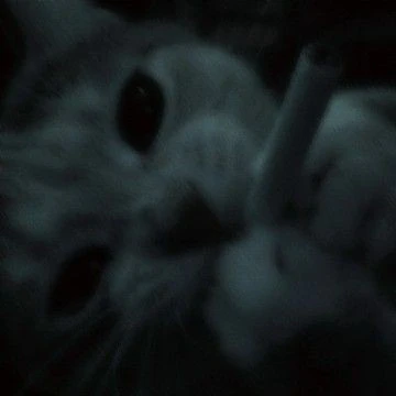 Кира.