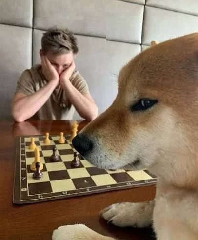 Grand Master Cheems thumbnail