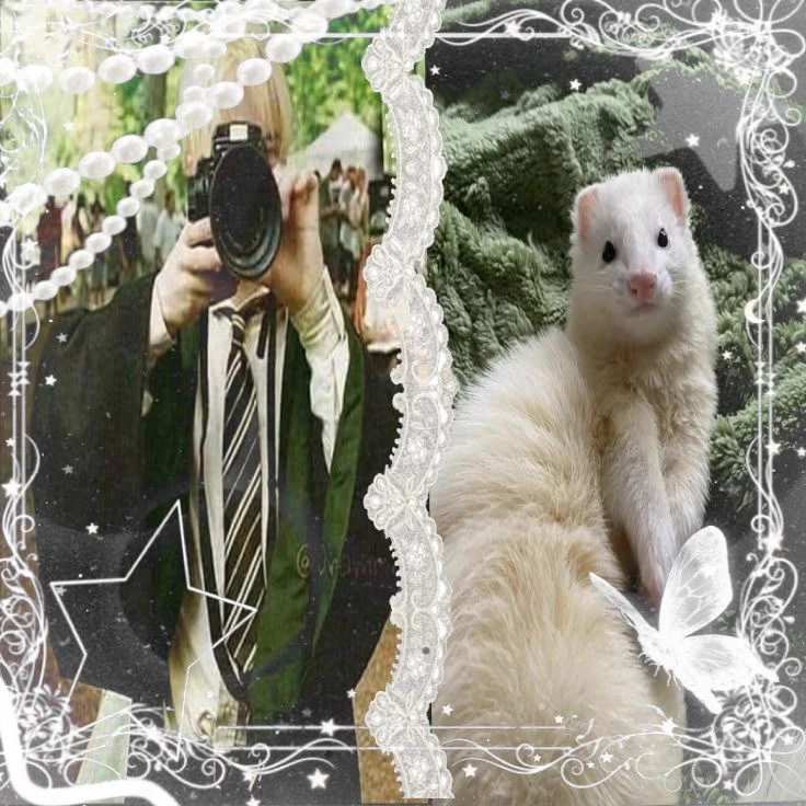 Draco Malfoy•is moving away...... thumbnail
